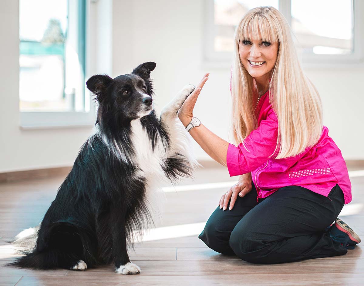 Hundesalon Breiterfurt - Doris Quehenberger