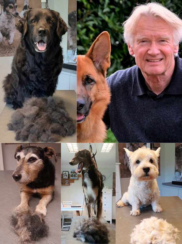 Bernd Pierstorff und Hunde